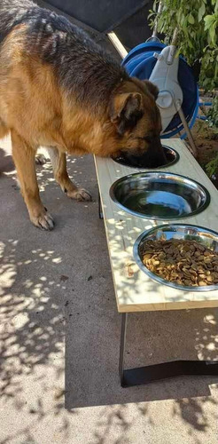 Imagen 5 de 7 de Comedero Perros En Altura Triple Grande