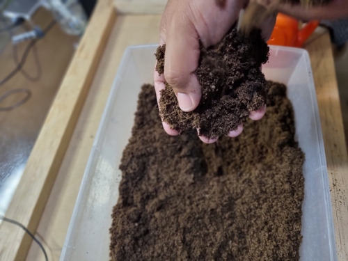 Peat Moss Turba Sustrato Germinación Hidroponia 3 Litros