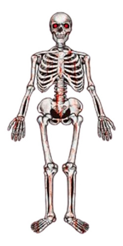 Guirnalda Esqueleto Articulado Decoracion Halloween