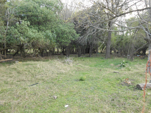 Imagen 10 de 12 de Vendo Linda Chacra Casa A Reciclar, Galpón Y Costa Cañada Cardozo