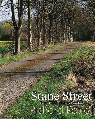 Stane Street : From Chichester To London, De Richard Powell., Vol. 1. Editorial U P Publications, Tapa Blanda En Inglés