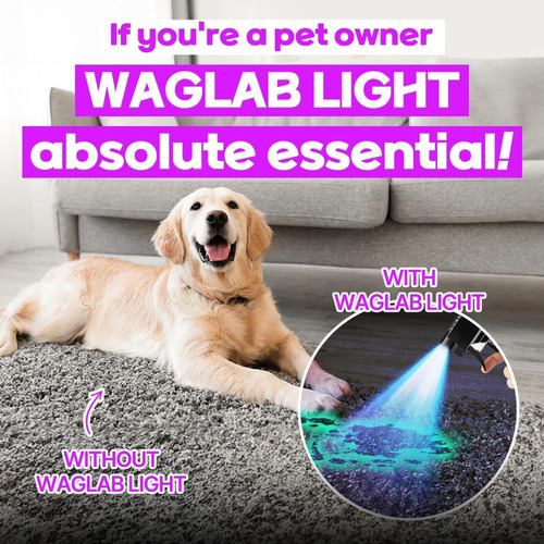 Linterna Uv Con Detector De Orina Para Mascotas - Luz Led 36