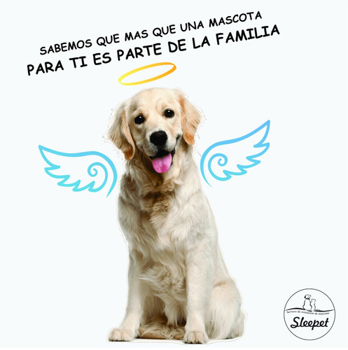 Imagen 3 de 6 de Sleepet. Servicio De Cremación De Mascotas.