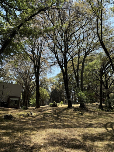 Vendo Rancho Terreno 7265m San Nicolás Tlazala Toluca Ocoyoacac Edomex