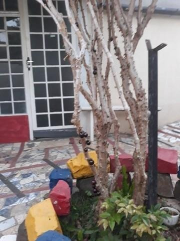 Imagem 17 de 19 de Casa À Venda Em Jardim Guanabara - Ca002831