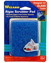 Comprar Esponja Limpia Vidrios Acuarios Peceras 7.5x 10 Cms