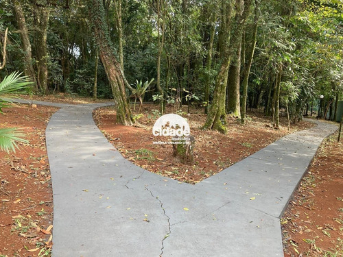 Imagem 7 de 30 de Terreno Em Condomínio À Venda, Cataratas - Cascavel/pr - 12538