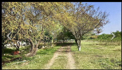 Terreno En Venta En Montemorelos
