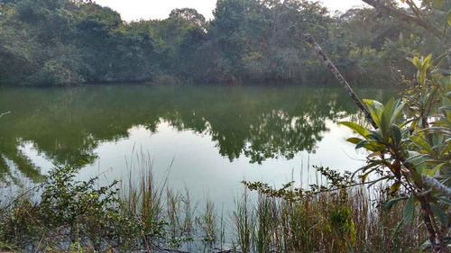 Venta Terreno 5000 M2 Frente Al Estero De Juana Moza Tuxpan Veracruz