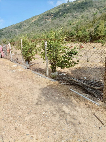 Oportunidad !! 10 Hectareas En Venta En Colliguay