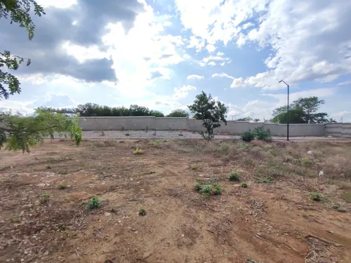 Lote En Venta En Bocono. Cod V29873