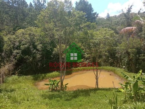 Imagem 20 de 20 de Chácara Com 2000 M² Em Juquitiba-sp Ref.: 856