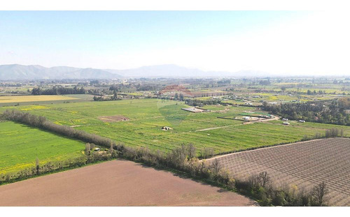 Parcela Rol Propio, 5000 M2 Calera De Tango