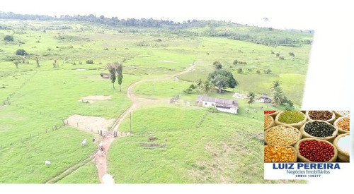 Imagem 1 de 14 de Fazenda À Venda Em Anapu - Pa - De 400 Alqueirões (pecuária) - 1661