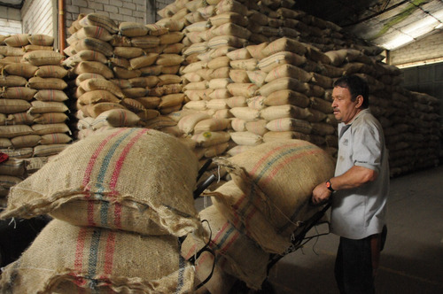 Café De Chiapas 100% Altura Formula Obscuro Intenso Francés