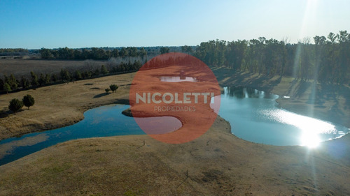 Imagen 8 de 13 de Venta Lote| La Asuncion | Lote Central | 100% Financiación