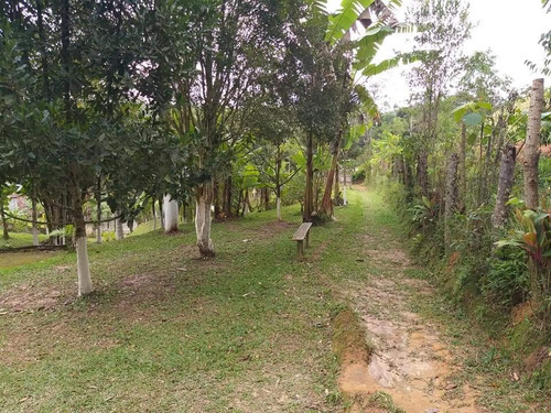 Viver Bem É Viver Na Natureza