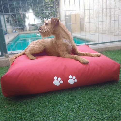 Imagen 3 de 5 de Pouf Cama Mascota Ergonómico, Impermeable, Aislante Térmico
