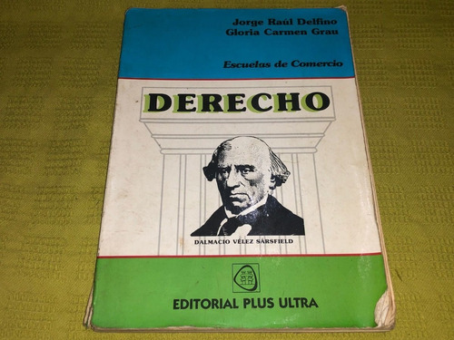 Derecho - Jorge Raúl Delfino - Plus Ultra