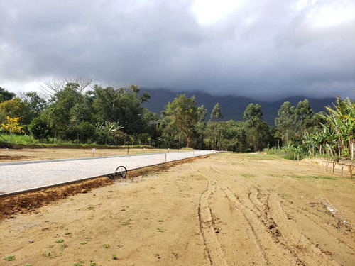 Imagem 8 de 10 de Lotes De 200m² Na Guarda Do Cubatão, Pagamento Facilitado.