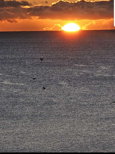 Alquiler Casa De Campo En Puerto Madryn Hasta 7 Personas