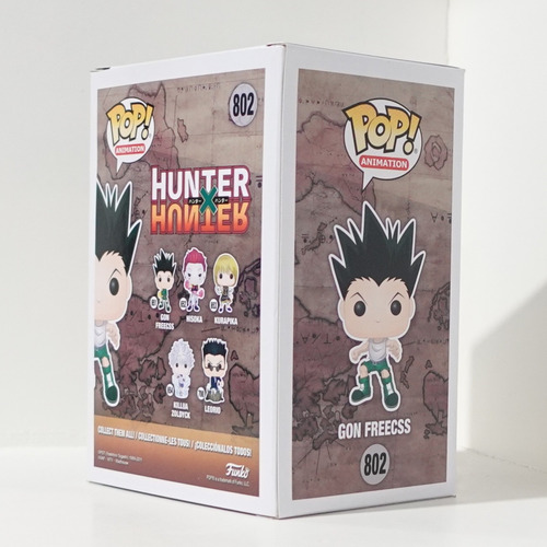 Funko Pop! Hunter X Hunter - Gon Freecss 802 (Usado)