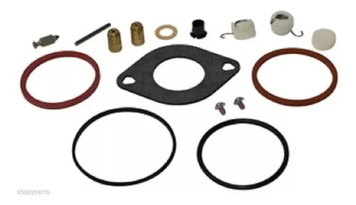 Kit Carburador Briggs & Stratton 697241 499220 493384 697154