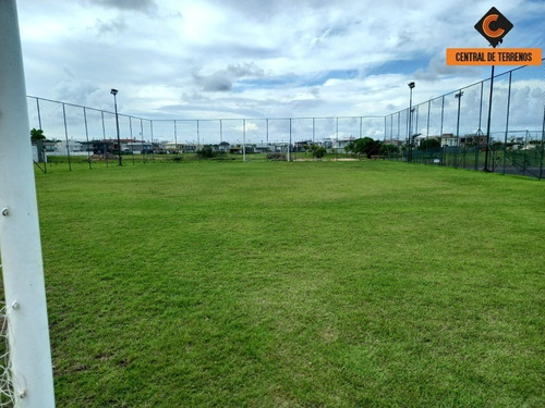 Imagem 18 de 28 de Terreno No Terras Alphaville - Te00271 - 34401629