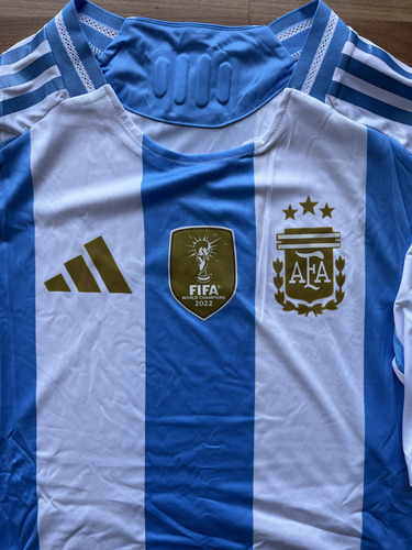 Camiseta Afa 2024 Argentina Versión Jugador (Usado)