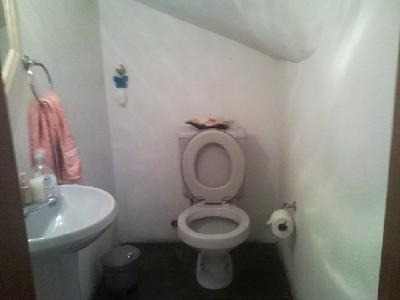Casa Em Tristeza Com 3 Dormitórios - Mi6500