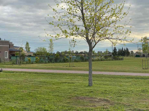Imagen 2 de 9 de Lote En Venta En San Vicente