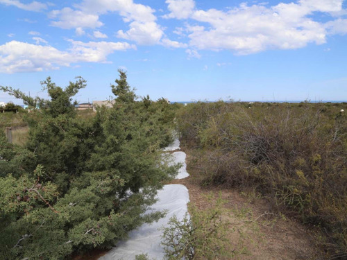 Vendo/permuto Terreno En Las Grutas Río Negro