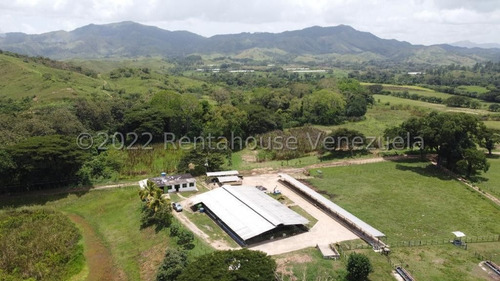 Finca Ganadera 267 Hectareas, Casa Principal De 550 Mts2 De Construcción Aproximados, 3 Depósitos De Maquinarias, Techos Nuevos, Ventanales Panoramicos Y Corredores.