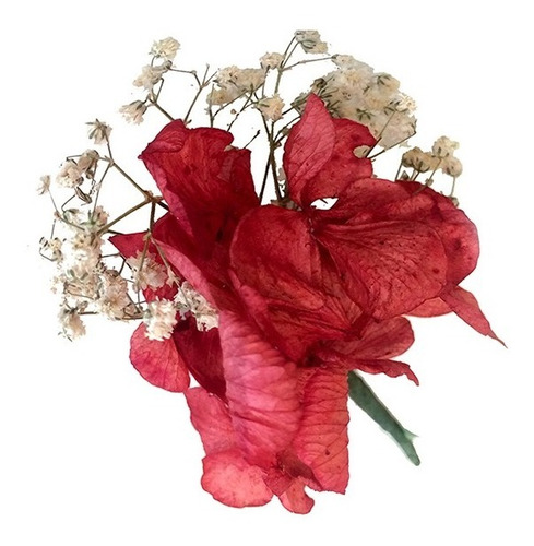 Flores Desidratadas - 1 Lapela Para Noivo Vermelha Marsala