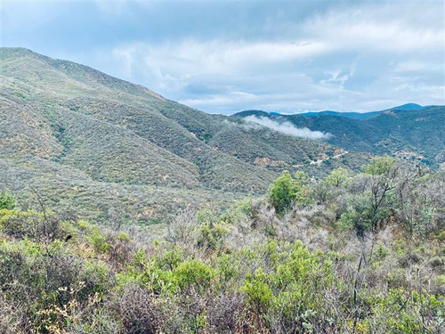 Parcela Refugio Curacavi Sector Cuesta Zapata