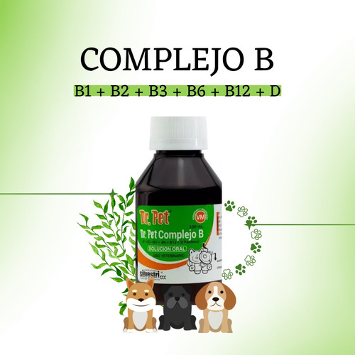 Complejo B Dr. Pet