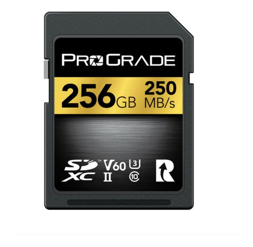 Memoria Prograde Digital Sd 256gb 250mb/s 130mb/s Sdxc 