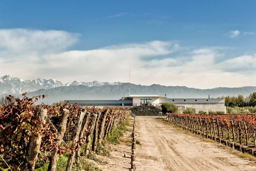 Venta | Bodega Con Viñedo | Maipú, Mendoza