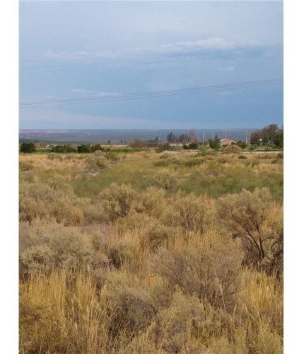 Imagen 3 de 11 de Venta Finca 14 Htas- Carrizal - Permuta X Lote