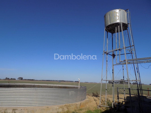 Imagen 13 de 27 de Terreno Campo En Venta En Carmen De Areco, Resto De La Provincia, Buenos Aires