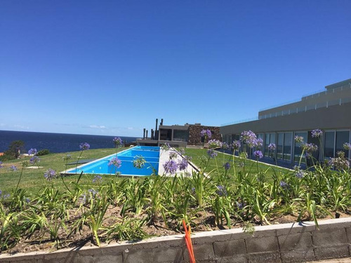 Departamento - Punta Ballena