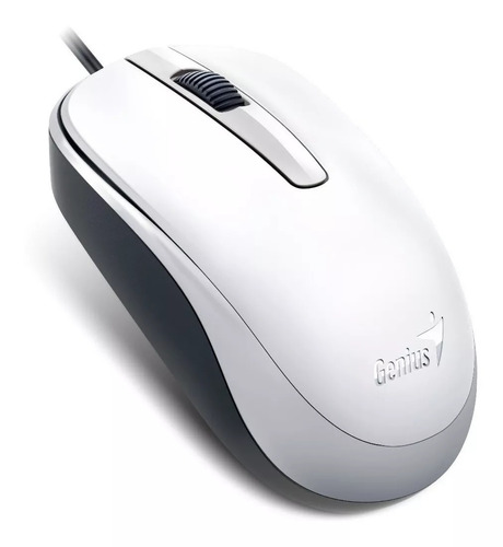 Mouse Usb Genius Dx-120  1000 Dpi Optico 