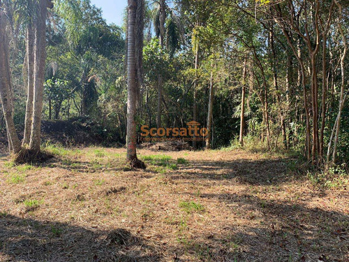 Imagem 4 de 10 de Área À Venda, Mombaça, Itapecerica Da Serra/sp - 4017