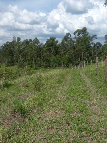 Ar Terrenos Plainos 1000m² Com Doc Ok