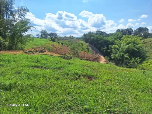 Venta Lotes En Quimbaya -quindío Colombia Cod: 7555717
