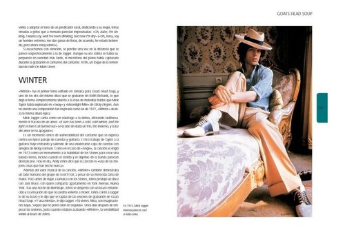 Los Rolling Stones, De Steve Appleford. Editorial Blume En Español