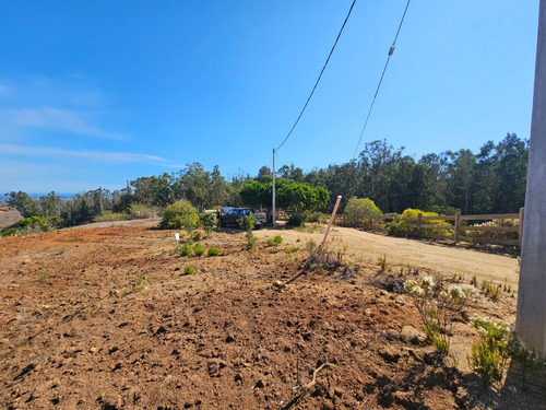 Parcela En Consolidado Condominio En Algarrobo Norte