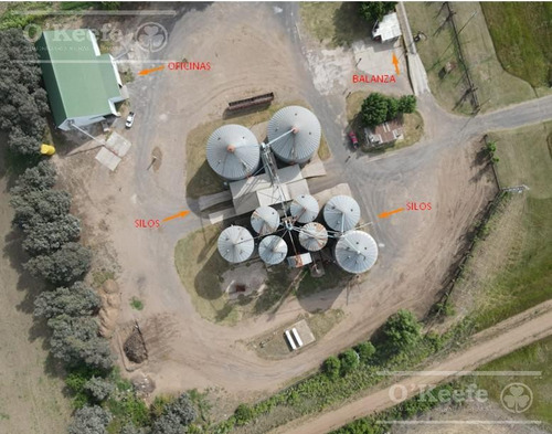Imagen 6 de 13 de Planta De Acopio En Venta En Bragado - Sobre 2 Has - Sobre Ruta 5