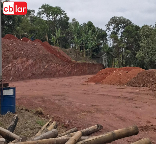 Imagem 13 de 15 de Terreno - Te00153 - 69909909