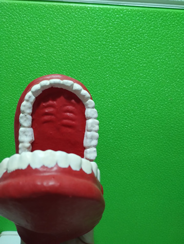 Boca Titere De Goma Flexible Mano Puppet Odontología Fono